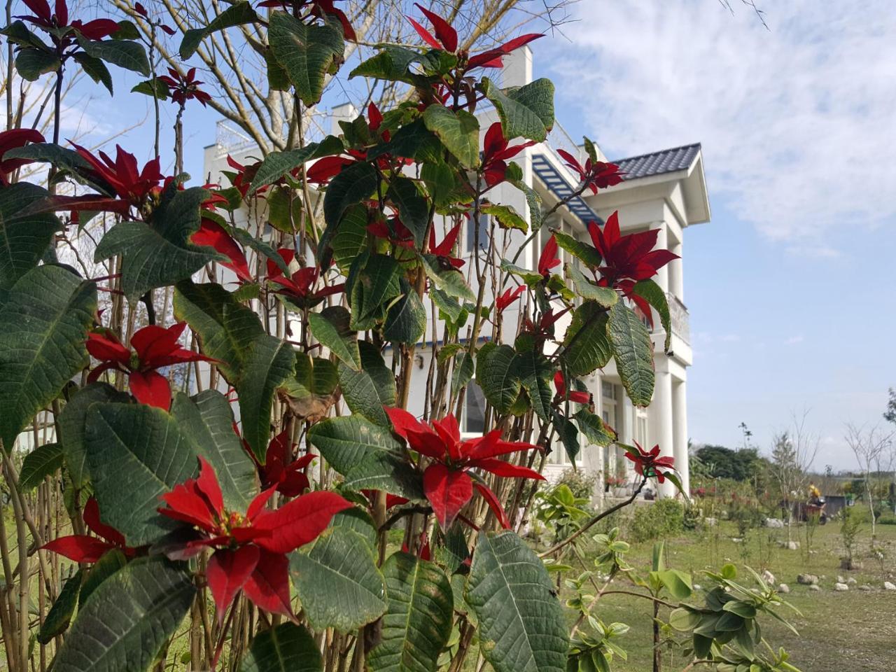 Yi Tian Homestay Fenglin Extérieur photo