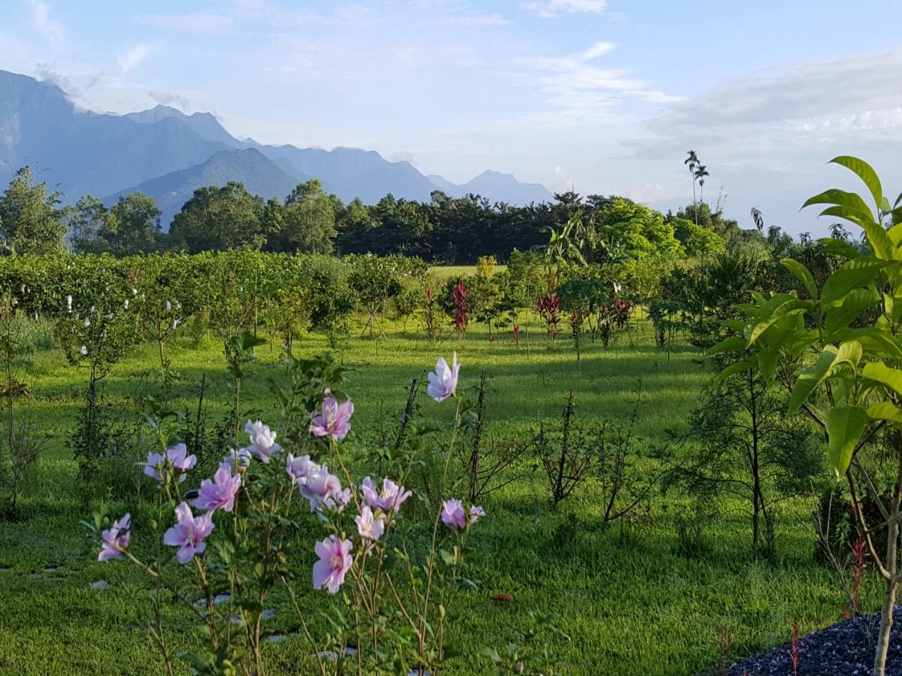 Yi Tian Homestay Fenglin Extérieur photo