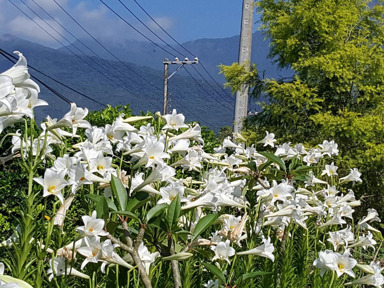 Yi Tian Homestay Fenglin Extérieur photo