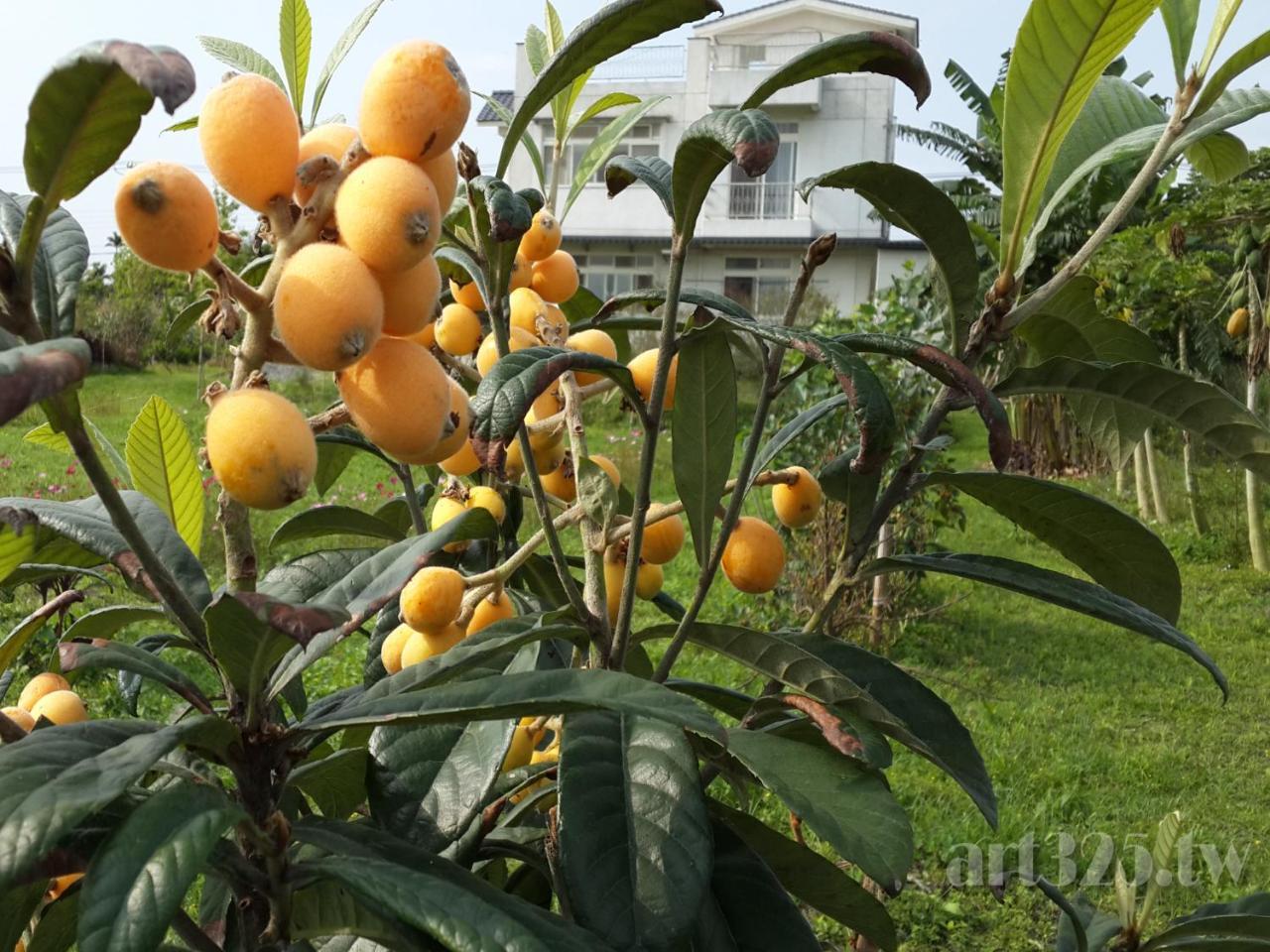 Yi Tian Homestay Fenglin Extérieur photo